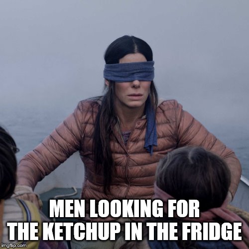 Bird Box | MEN LOOKING FOR THE KETCHUP IN THE FRIDGE | image tagged in memes,bird box,men can't find anything,ketchup,men | made w/ Imgflip meme maker