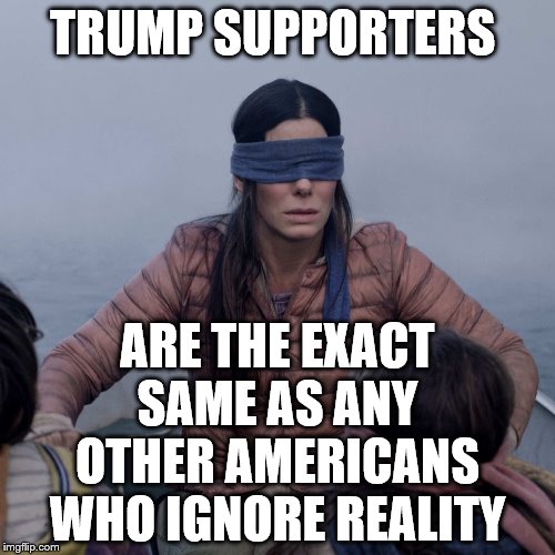 Bird Box Meme | TRUMP SUPPORTERS; ARE THE EXACT SAME AS ANY OTHER AMERICANS WHO IGNORE REALITY | image tagged in memes,bird box | made w/ Imgflip meme maker