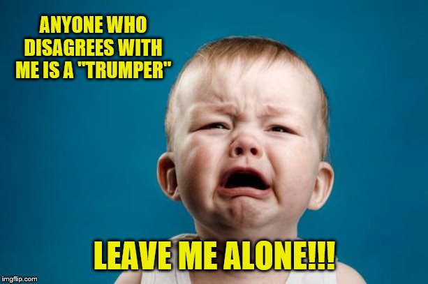 BABY CRYING | ANYONE WHO DISAGREES WITH ME IS A "TRUMPER" LEAVE ME ALONE!!! | image tagged in baby crying | made w/ Imgflip meme maker