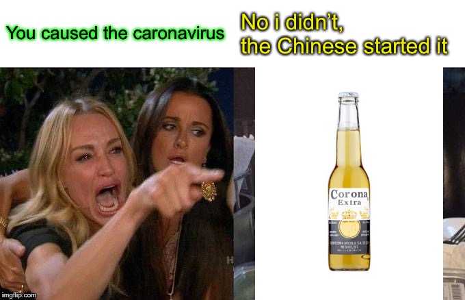Woman Yelling At Cat Meme | You caused the caronavirus; No i didn’t, the Chinese started it | image tagged in memes,woman yelling at cat | made w/ Imgflip meme maker