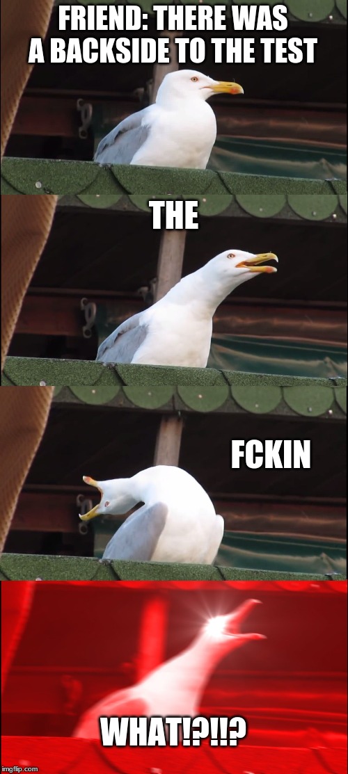 Inhaling Seagull | FRIEND: THERE WAS A BACKSIDE TO THE TEST; THE; FCKIN; WHAT!?!!? | image tagged in memes,inhaling seagull | made w/ Imgflip meme maker