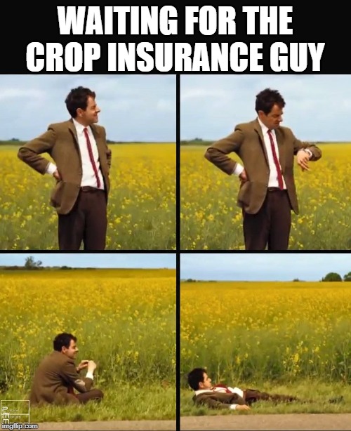 Mr bean waiting | WAITING FOR THE CROP INSURANCE GUY | image tagged in mr bean waiting | made w/ Imgflip meme maker