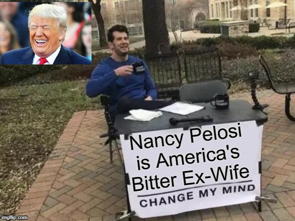 Nancy Pelosi is America's Bitter Ex-Wife | image tagged in pelosi,trump | made w/ Imgflip meme maker