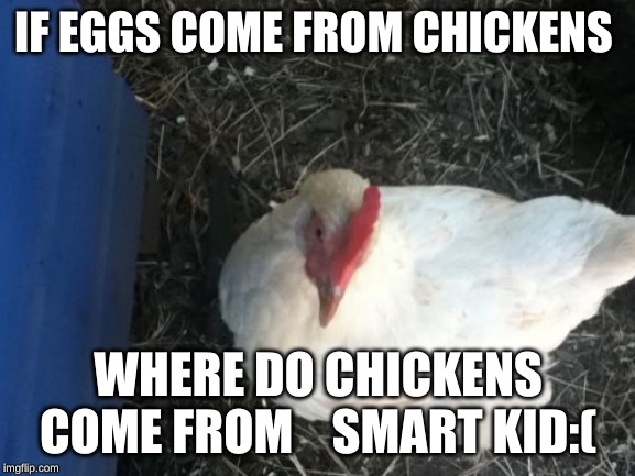 Angry Chicken Boss Meme |  IF EGGS COME FROM CHICKENS; WHERE DO CHICKENS COME FROM    SMART KID:( | image tagged in memes,angry chicken boss | made w/ Imgflip meme maker