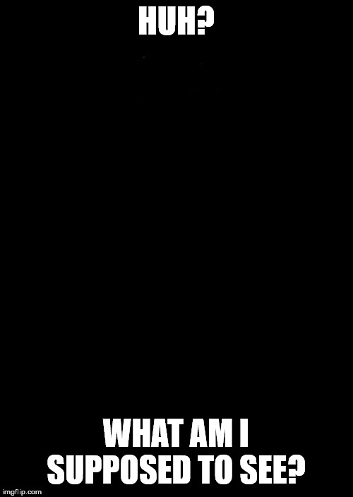 a black blank | HUH? WHAT AM I SUPPOSED TO SEE? | image tagged in a black blank | made w/ Imgflip meme maker