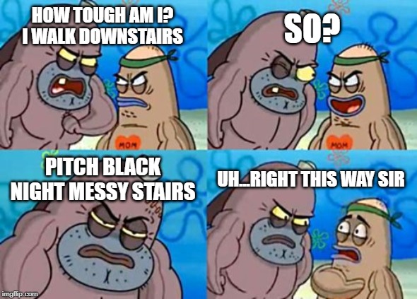 How Tough Are You | SO? HOW TOUGH AM I?
I WALK DOWNSTAIRS; PITCH BLACK NIGHT MESSY STAIRS; UH...RIGHT THIS WAY SIR | image tagged in memes,how tough are you | made w/ Imgflip meme maker