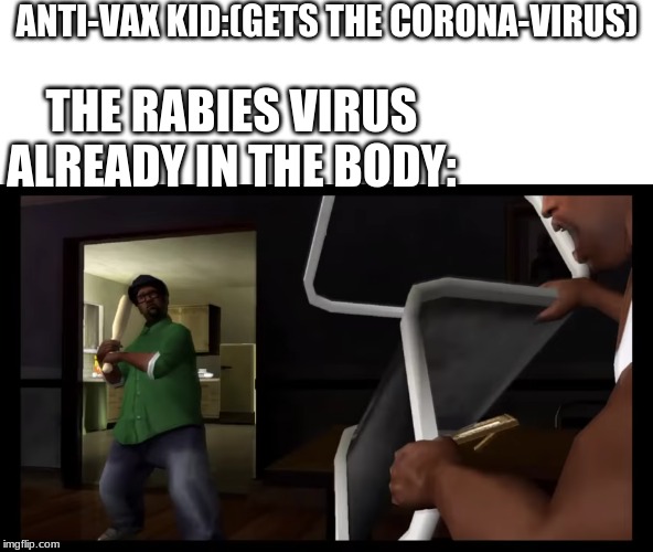 You picked the wrong house fool | THE RABIES VIRUS ALREADY IN THE BODY:; ANTI-VAX KID:(GETS THE CORONA-VIRUS) | image tagged in you picked the wrong house fool | made w/ Imgflip meme maker