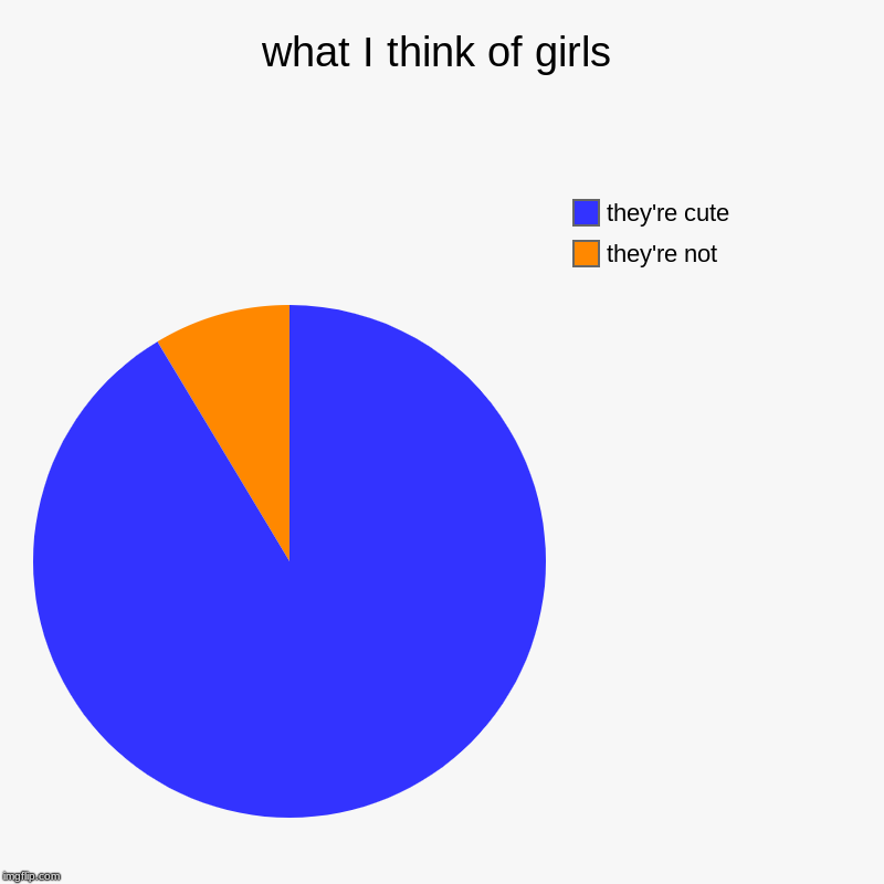 what I think of girls | they're not, they're cute | image tagged in charts,pie charts | made w/ Imgflip chart maker