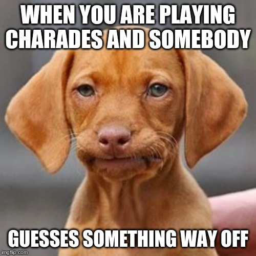 Thug life dog | WHEN YOU ARE PLAYING CHARADES AND SOMEBODY; GUESSES SOMETHING WAY OFF | image tagged in thug life dog | made w/ Imgflip meme maker