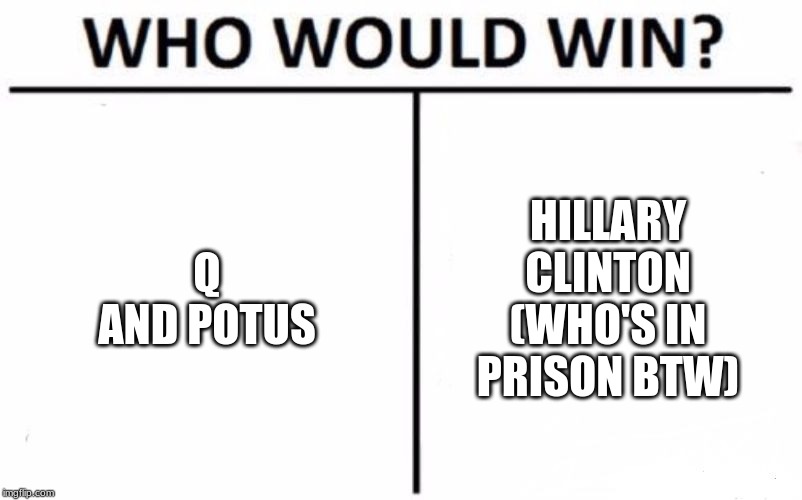 Who Would Win? | Q AND POTUS; HILLARY CLINTON (WHO'S IN PRISON BTW) | image tagged in memes,who would win | made w/ Imgflip meme maker