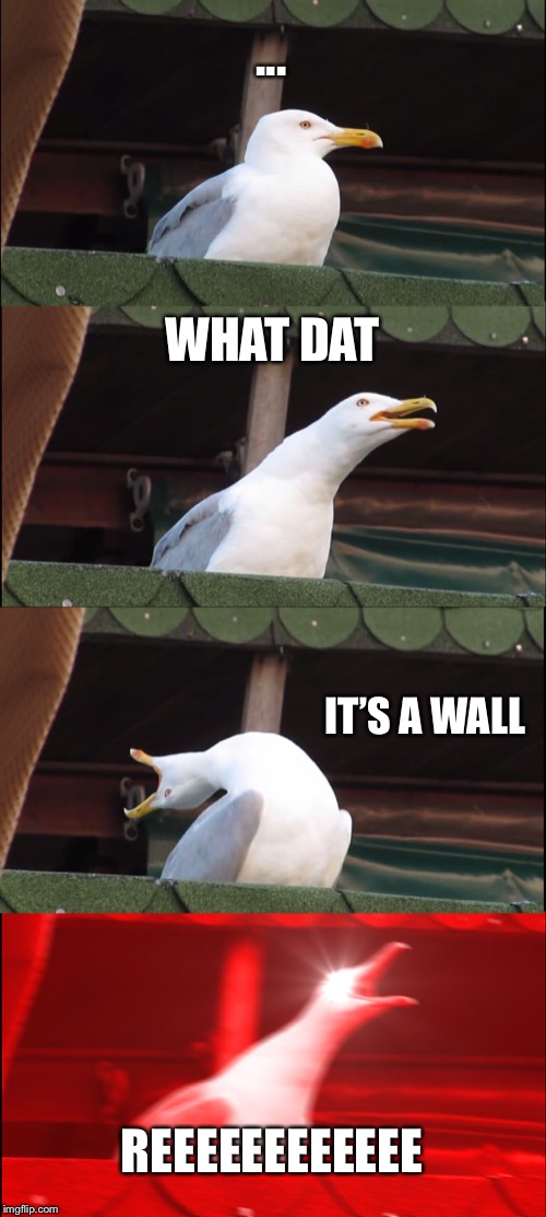 Inhaling Seagull Meme | ... WHAT DAT; IT’S A WALL; REEEEEEEEEEEE | image tagged in memes,inhaling seagull | made w/ Imgflip meme maker