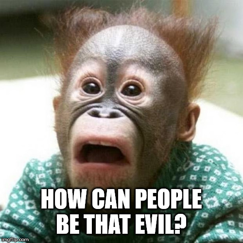 Shocked Monkey | HOW CAN PEOPLE BE THAT EVIL? | image tagged in shocked monkey | made w/ Imgflip meme maker