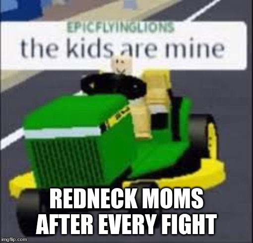 REDNECK MOMS AFTER EVERY FIGHT | image tagged in bruh | made w/ Imgflip meme maker