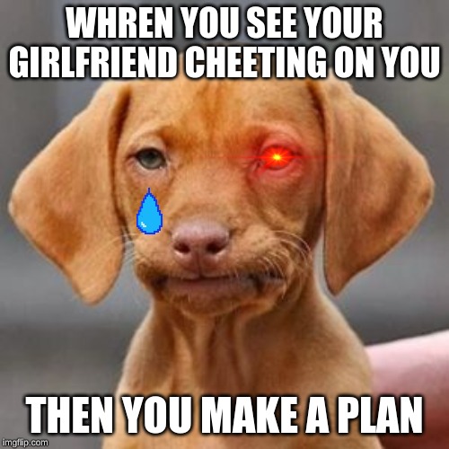 Thug life dog | WHREN YOU SEE YOUR GIRLFRIEND CHEETING ON YOU; THEN YOU MAKE A PLAN | image tagged in thug life dog | made w/ Imgflip meme maker