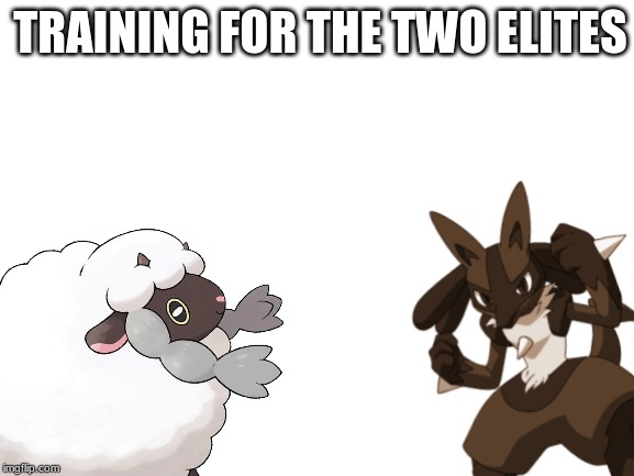 TRAINING FOR THE TWO ELITES | made w/ Imgflip meme maker