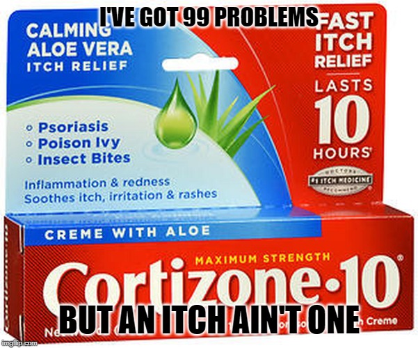 I'VE GOT 99 PROBLEMS; BUT AN ITCH AIN'T ONE | image tagged in funny | made w/ Imgflip meme maker