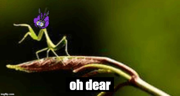 Cutbug Oh Dear Blank Meme Template
