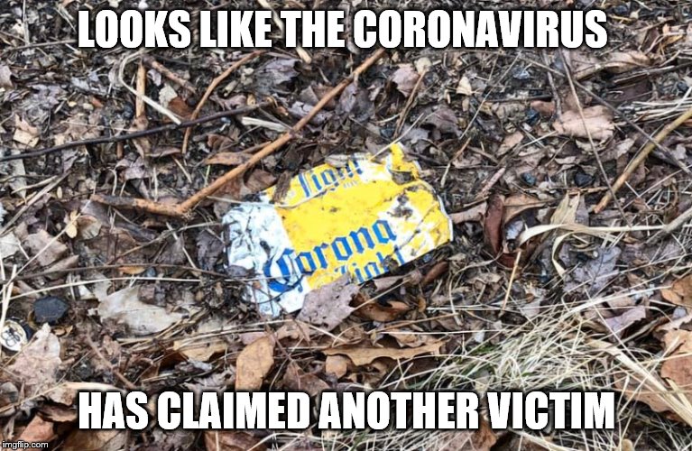 Corona Virus | LOOKS LIKE THE CORONAVIRUS; HAS CLAIMED ANOTHER VICTIM | image tagged in corona virus | made w/ Imgflip meme maker