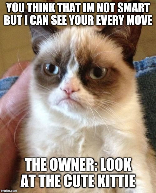 Grumpy Cat Meme | YOU THINK THAT IM NOT SMART BUT I CAN SEE YOUR EVERY MOVE; THE OWNER: LOOK AT THE CUTE KITTIE | image tagged in memes,grumpy cat | made w/ Imgflip meme maker