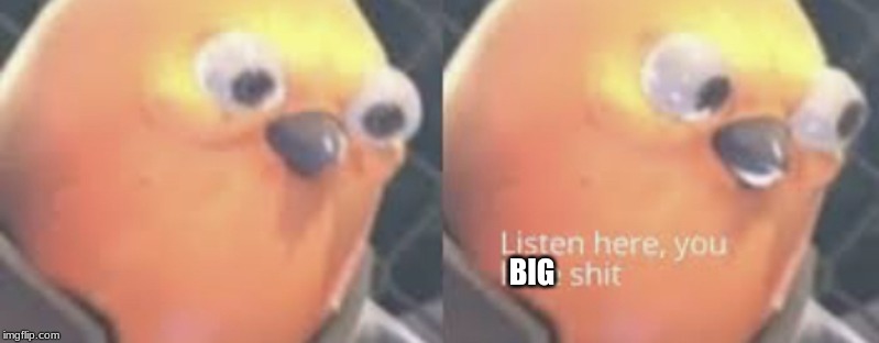 When Teacher responds with "i dunno can you" | BIG | image tagged in listen here you little shit bird | made w/ Imgflip meme maker