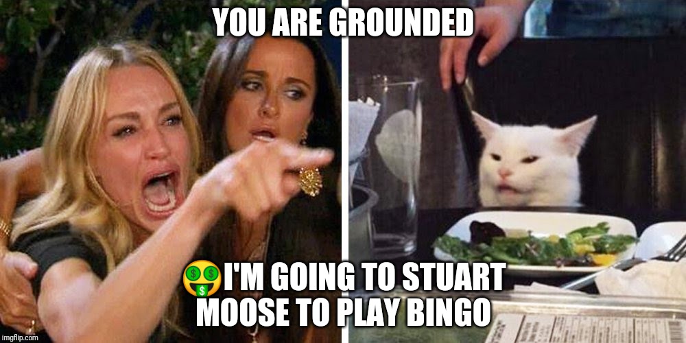 Smudge the cat | YOU ARE GROUNDED; 🤑I'M GOING TO STUART
MOOSE TO PLAY BINGO | image tagged in smudge the cat | made w/ Imgflip meme maker