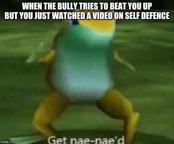 Get nae-nae'd | WHEN THE BULLY TRIES TO BEAT YOU UP BUT YOU JUST WATCHED A VIDEO ON SELF DEFENCE | image tagged in get nae-nae'd | made w/ Imgflip meme maker