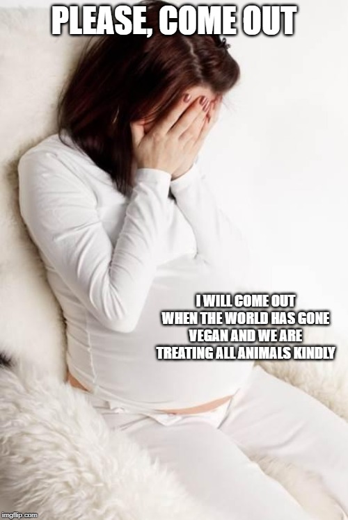 pregnant hormonal | PLEASE, COME OUT; I WILL COME OUT WHEN THE WORLD HAS GONE VEGAN AND WE ARE TREATING ALL ANIMALS KINDLY | image tagged in pregnant hormonal | made w/ Imgflip meme maker