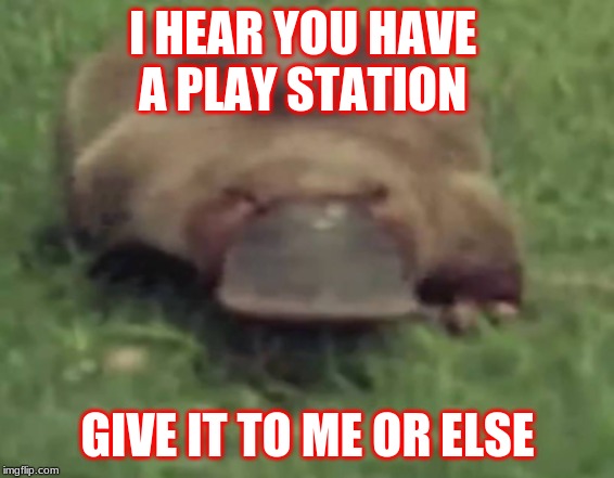 I HEAR YOU HAVE 
A PLAY STATION; GIVE IT TO ME OR ELSE | image tagged in meme template | made w/ Imgflip meme maker