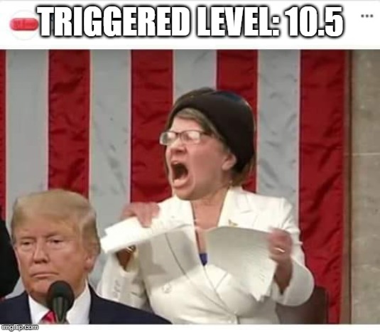 Triggered | TRIGGERED LEVEL: 10.5 | image tagged in politics,political meme | made w/ Imgflip meme maker