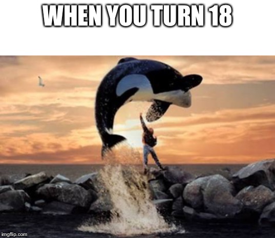 WHEN YOU TURN 18 | image tagged in blank white template,free willy blank | made w/ Imgflip meme maker