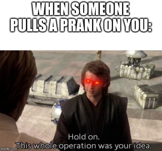 Hold on this whole operation was your idea | WHEN SOMEONE PULLS A PRANK ON YOU: | image tagged in hold on this whole operation was your idea | made w/ Imgflip meme maker