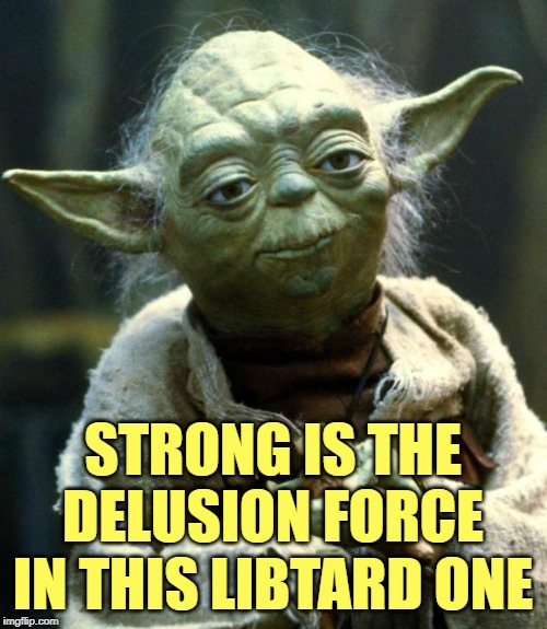 Star Wars Yoda Meme | STRONG IS THE DELUSION FORCE IN THIS LIBTARD ONE | image tagged in memes,star wars yoda | made w/ Imgflip meme maker