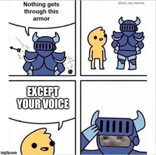 knight armor | EXCEPT YOUR VOICE | image tagged in knight armor | made w/ Imgflip meme maker