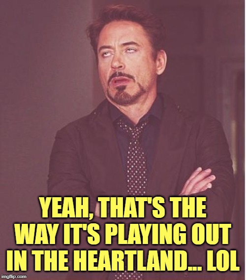 Face You Make Robert Downey Jr Meme | YEAH, THAT'S THE WAY IT'S PLAYING OUT IN THE HEARTLAND... LOL | image tagged in memes,face you make robert downey jr | made w/ Imgflip meme maker