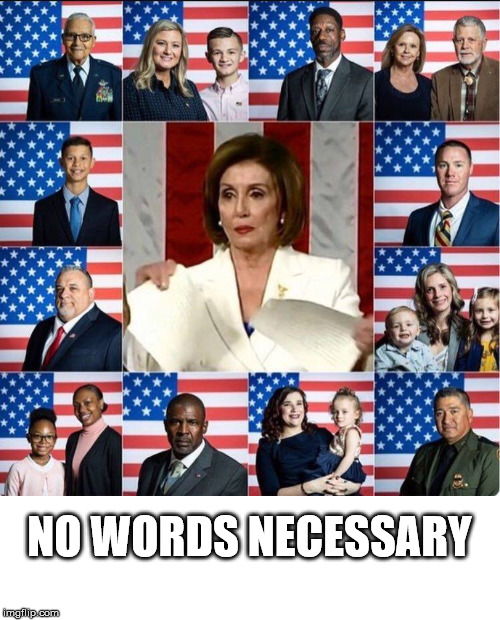 NO WORDS NECESSARY | image tagged in nancy pelosi,nancy pelosi is crazy,liberals,hatred,disrespect | made w/ Imgflip meme maker