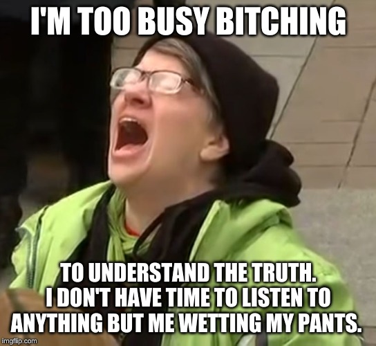 snowflake | I'M TOO BUSY B**CHING TO UNDERSTAND THE TRUTH. I DON'T HAVE TIME TO LISTEN TO ANYTHING BUT ME WETTING MY PANTS. | image tagged in snowflake | made w/ Imgflip meme maker
