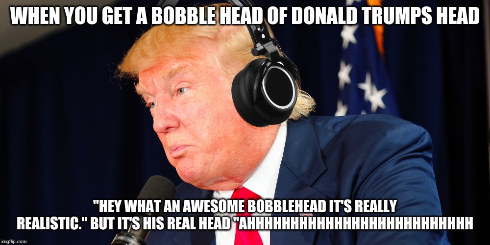 Donald Trump Headphones | WHEN YOU GET A BOBBLE HEAD OF DONALD TRUMPS HEAD; "HEY WHAT AN AWESOME BOBBLEHEAD IT'S REALLY REALISTIC." BUT IT'S HIS REAL HEAD "AHHHHHHHHHHHHHHHHHHHHHHHHHH | image tagged in donald trump headphones | made w/ Imgflip meme maker