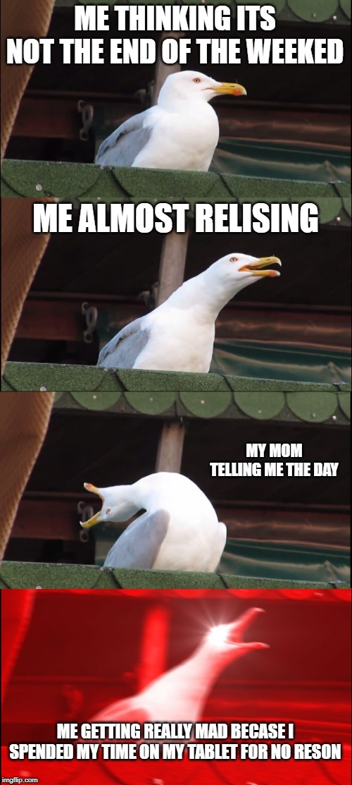 Inhaling Seagull Meme | ME THINKING ITS NOT THE END OF THE WEEKED; ME ALMOST RELISING; MY MOM TELLING ME THE DAY; ME GETTING REALLY MAD BECASE I SPENDED MY TIME ON MY TABLET FOR NO RESON | image tagged in memes,inhaling seagull | made w/ Imgflip meme maker