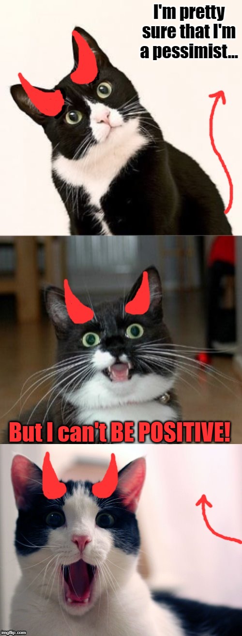 Aye, I am a pessimist, surprised? | I'm pretty sure that I'm a pessimist... But I can't BE POSITIVE! | image tagged in bad pun ememeon,pessimist,positive | made w/ Imgflip meme maker