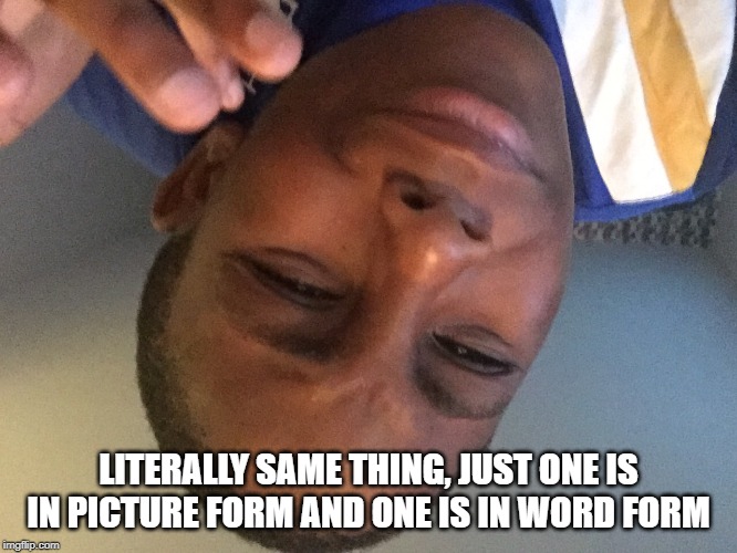 That's the  same thing | LITERALLY SAME THING, JUST ONE IS IN PICTURE FORM AND ONE IS IN WORD FORM | image tagged in that's the same thing | made w/ Imgflip meme maker