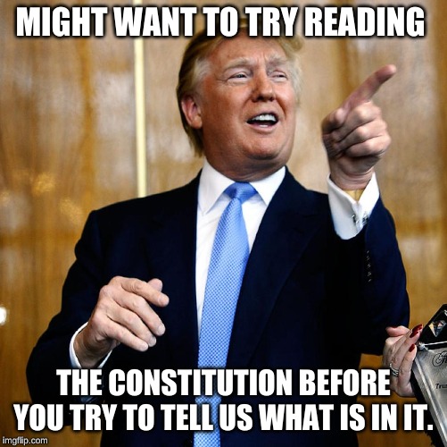 Donal Trump Birthday | MIGHT WANT TO TRY READING THE CONSTITUTION BEFORE YOU TRY TO TELL US WHAT IS IN IT. | image tagged in donal trump birthday | made w/ Imgflip meme maker