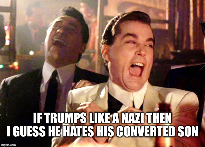 Good Fellas Hilarious Meme | IF TRUMPS LIKE A NAZI THEN I GUESS HE HATES HIS CONVERTED SON | image tagged in memes,good fellas hilarious | made w/ Imgflip meme maker