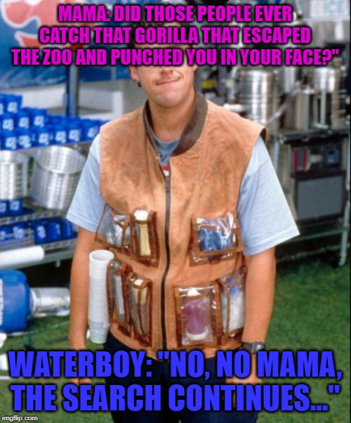 Waterboy | MAMA: DID THOSE PEOPLE EVER CATCH THAT GORILLA THAT ESCAPED THE ZOO AND PUNCHED YOU IN YOUR FACE?"; WATERBOY: "NO, NO MAMA, THE SEARCH CONTINUES..." | image tagged in waterboy | made w/ Imgflip meme maker