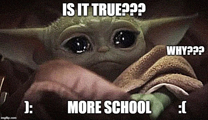 Crying Baby Yoda | IS IT TRUE??? WHY??? ):             MORE SCHOOL          :( | image tagged in crying baby yoda | made w/ Imgflip meme maker