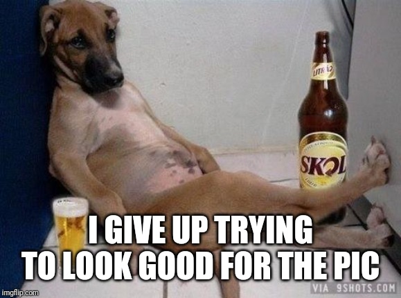 Funny Dog | I GIVE UP TRYING TO LOOK GOOD FOR THE PIC | image tagged in funny dog | made w/ Imgflip meme maker