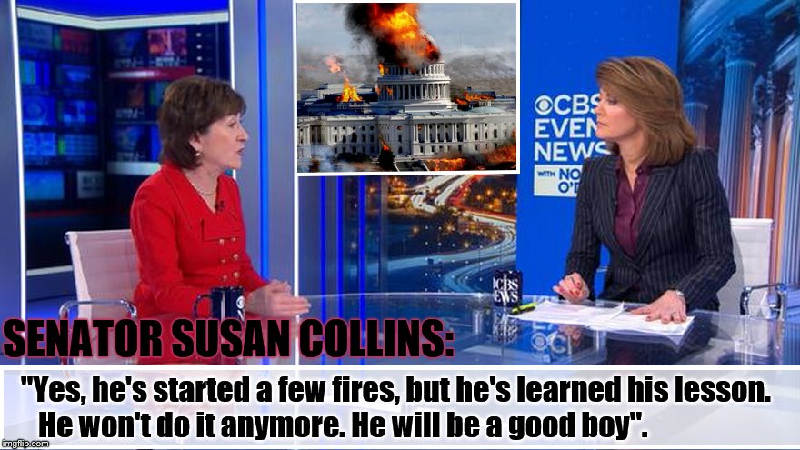 My Boy Donald... | SENATOR SUSAN COLLINS:; "Yes, he's started a few fires, but he's learned his lesson. 
   He won't do it anymore. He will be a good boy". | image tagged in senators,crooked,donald trump,trump impeachment,pathetic | made w/ Imgflip meme maker