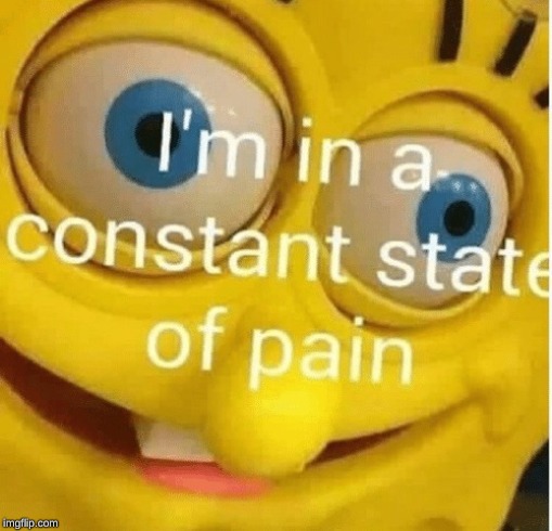 I'm in a constant state of pain | image tagged in i'm in a constant state of pain | made w/ Imgflip meme maker