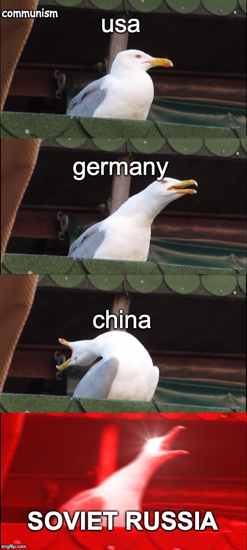 Inhaling Seagull | usa; communism; germany; china; SOVIET RUSSIA | image tagged in memes,inhaling seagull | made w/ Imgflip meme maker