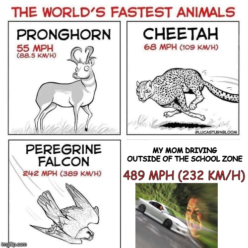 The world's fastest animals | MY MOM DRIVING OUTSIDE OF THE SCHOOL ZONE; 489 MPH (232 KM/H) | image tagged in the world's fastest animals | made w/ Imgflip meme maker