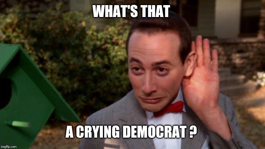 Pee Wee Herman - listening | WHAT'S THAT; A CRYING DEMOCRAT ? | image tagged in pee wee herman - listening | made w/ Imgflip meme maker